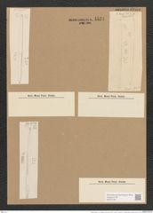 Nitzschia linears "var. intercedens" Grunow (de-Toni-Nr.: Genus 47, Species 2111) Zeichnungen Sammlung Grunow Nr. 4534 (NHMW-BOT-W0372166)